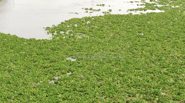 Chairman of the Nairobi Dam Restoration Taskforce Bartonjo Chesaina said that their strategy this time will involve neighbouring communities in the process to ensure the project's success/XINHUA FILE