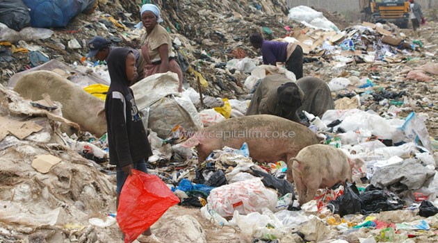 Even the Dandora dumpsite - which could be described as an effigy of the plastic bag - the self confessed green economist says, could be looked at as just a smelly, infested, eye sore or a business opportunity/XINHUA FILE