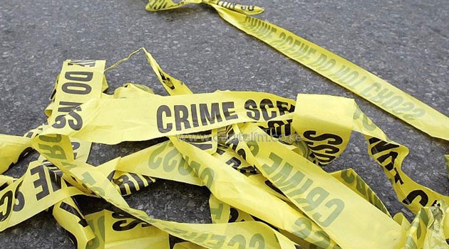 US man decapitates mother with axe on New Year's Eve » Capital News