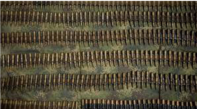 Ammunition displayed/FILE