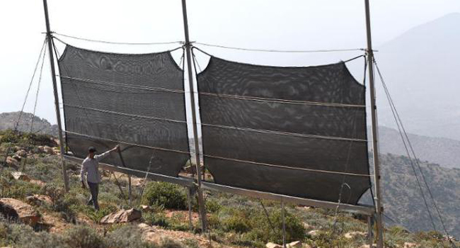  A Moroccan inspects fog fences in a hamlet on the outskirts of the southern coastal city of Sidi Ifni/AFP