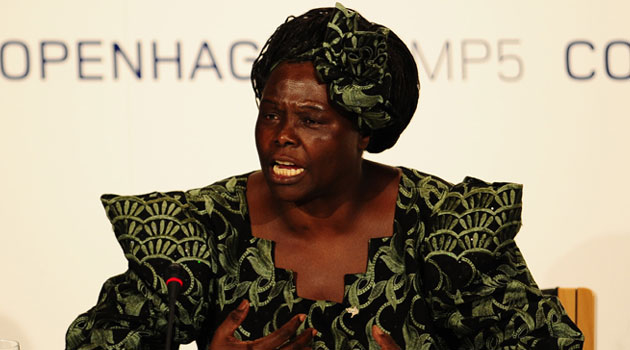 Celebrating Africans like Wangari Maathai, who worked tirelessly to better the continent, acknowledges the struggle of the individuals and inculcates their legacy/XINHUA-File