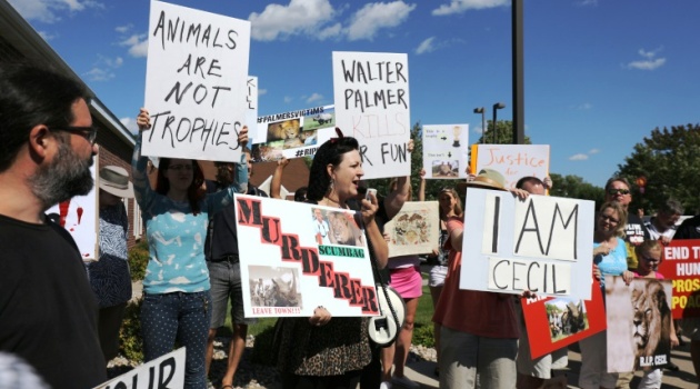 Rachel Augusta leads a protest against the killing of Cecil the lion in the parking lot of hunter Dr. Walter Palmer's River Bluff Dental Clinic on July 29, 2015 in Bloomington, Minnesota/AFP  