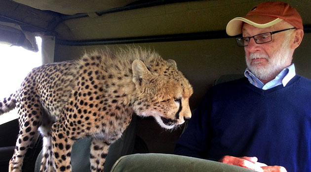 But, nevertheless, the bold animal hopped into the back seat of a jeep as it drove through the African plains - much to the shock of an Irishman inside - Photo: DAVID HORSEY/CATERS NEWS