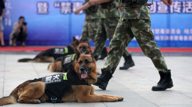 "China's national security situation has become increasingly severe," said senior NPC official Zheng Shuna/XINHUA-File