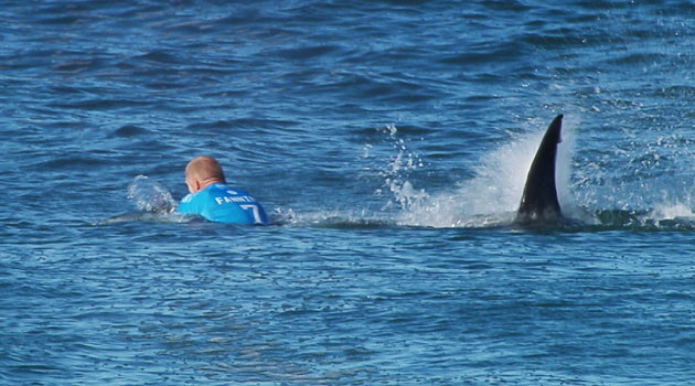 A World Surf League photo shows Australian surfer Mick Fanning being attacked by a shark during the Final of the Surf Open in Jeffreys Bay on July 19, 2015/AFP