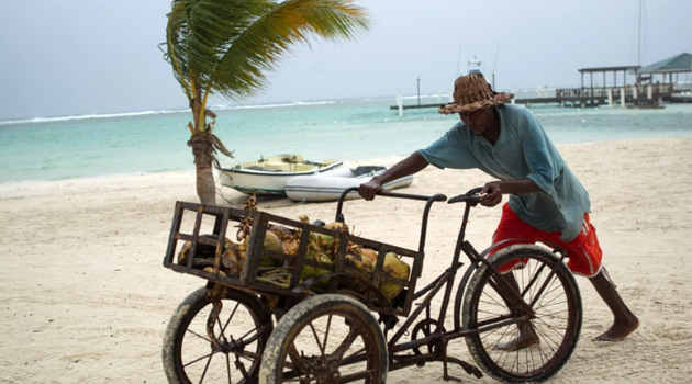 A coconut vendor walks at the beach in Boca Chica in the Dominican Republic, which braces for a direct blast from tropical storm Erika, on August 28, 2015/AFP