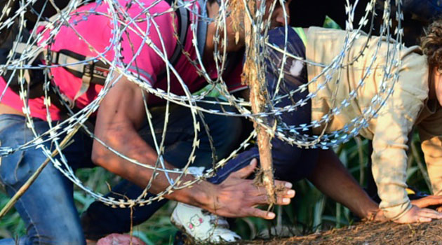 Migrants crawl under a barbed wire fence at the Hungarian-Serbian border near Roszke, on August 27, 2015/AFP