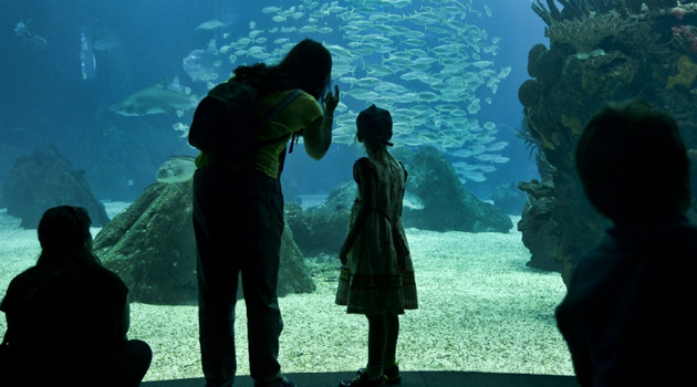 Oleksandra, a 7-year-old first time participant in the "Blue Summer" project, visits the Lisbon Oceanarium with her host family/AFP