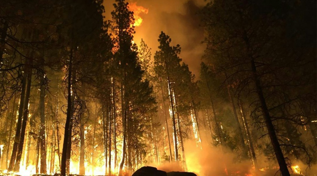 The Graves Mountain fire near Colville, Washington, is shown in this US Forest Service photo from August 25, 2015/AFP