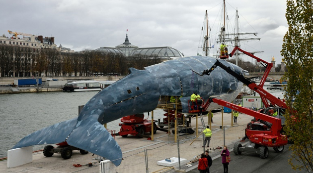 Workers construct a giant whale sculpture along the side of the river Seine on November 29, 2015, in Paris, on the eve of the COP21 United Nations conference on climate change/AFP