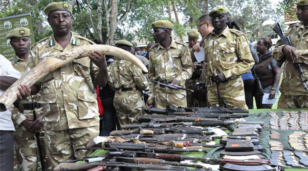 This is according to Environment and Natural Resources Cabinet Secretary Judy Wakhungu, who says the government has in the last three years doubled its efforts at combating elephant poaching/FILE