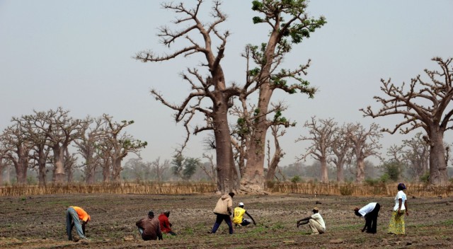 Sénégal is among the first 8 countries to benefit from aid awarded by the UN Green Climate Fund/AFP 