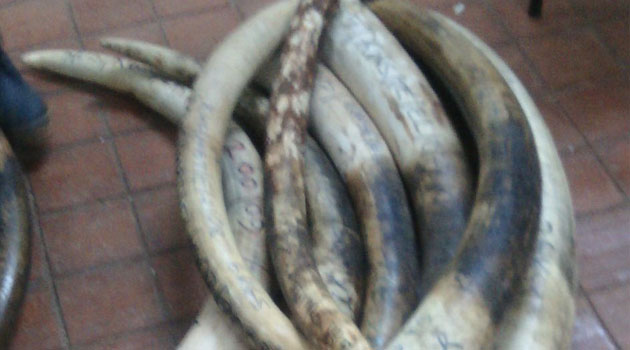 The second suspect was fined Sh23 million when a Laikipia court found him guilty of illegally possessing ivory/CFM