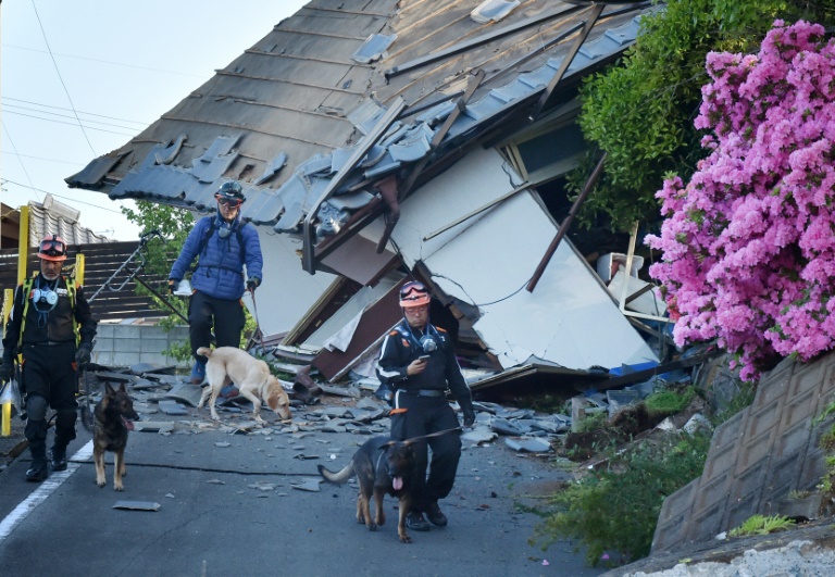 Rescuers and their search dogs patrol next to collapsed houses in Mashiki, in southern Japan/AFP