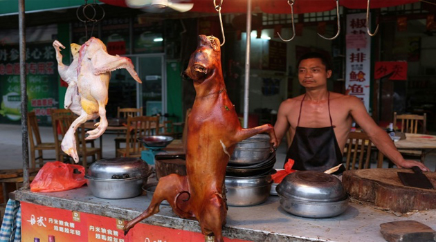  A chef roasts dogs outside a restaurant in Yulin/AFP