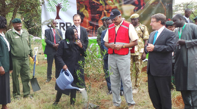 The tree planting marathon will take place in Kiambere with Tana and Athi River Development Authority providing 5,000 hectares of land in Masinga and Kiambere Dams/FILE