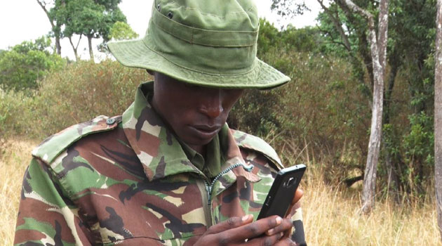 Before the launch of the WILD app, over 400 rangers from various conservation organisations were trained for a period of a year and a half on how to use it/KEVIN GITAU