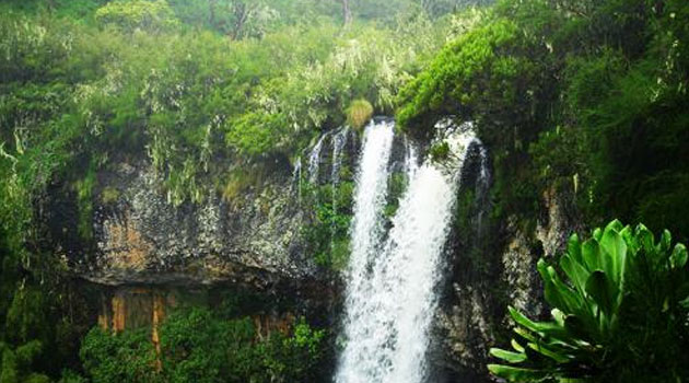 The four were in a group 60 from Nairobi and include two women and a man who were last seen heading to the mountain while accompanied by a local guide/FILE