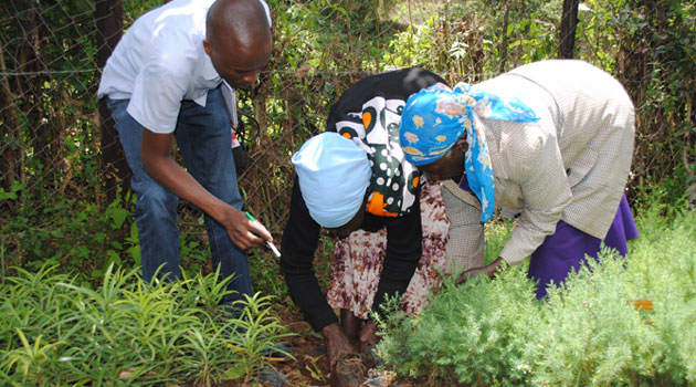 In Embu elders living near Mount Kenya forest have formed a group that is playing the role of the humming bird, not because their impact will be instant, but for the future generation of the country/CFM NEWS