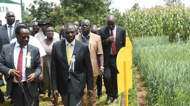 The Deputy President said the price of maize will be progressively reviewed each year and assured that the Government will continue reducing the cost of farming. Photo/DPPS.