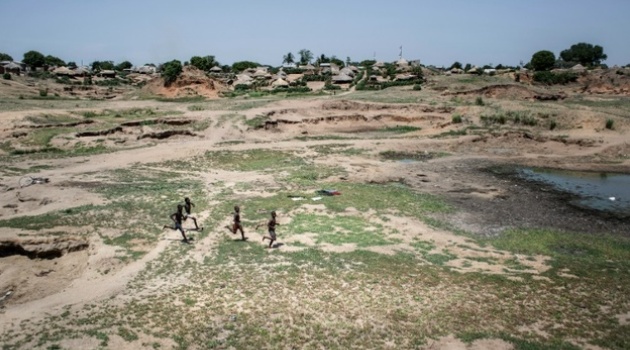 Zimbabwe, Malawi and Mozambique have all issued drought alerts in recent months, as thousands of cattle die, reservoirs are depleted and harvests fail/AFP-File