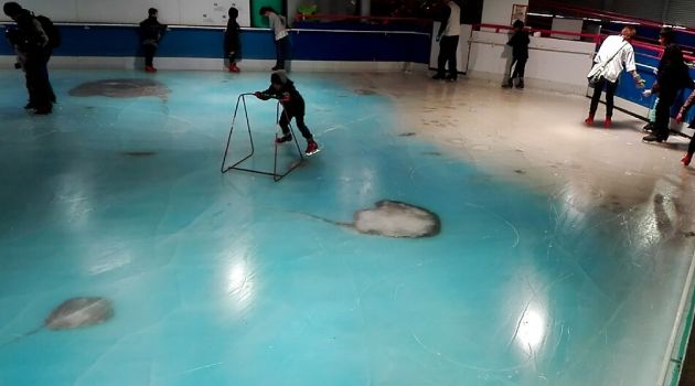 People skate on an ice rink with 5,000 frozen dead fish inside at the Space World amusement park in Kitakyushu, southwestern Japan/AFP