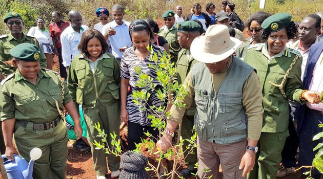 Image result for planting of tree in kenya