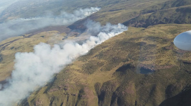 KWS says Mt Kenya forest fires largely contained » Capital News MT KENYA FIRES - KWS says Mt Kenya forest fires largely contained » Capital News