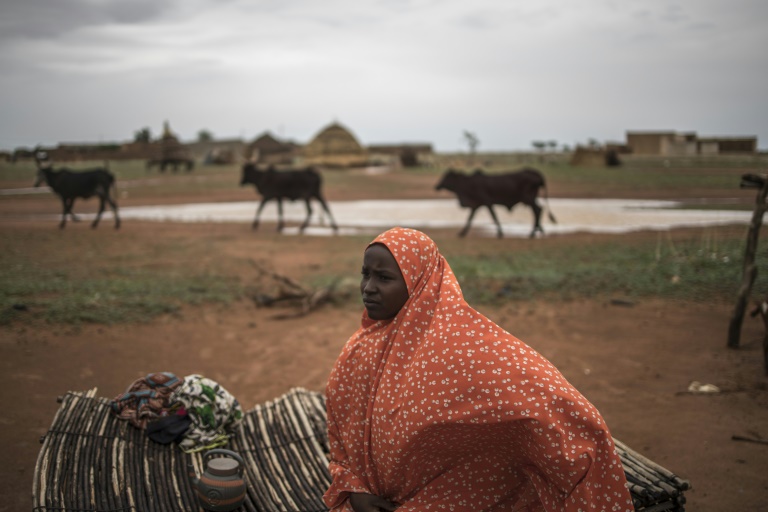 Climate change threatens end of trail for Niger's nomadic herders - Capital FM Kenya
