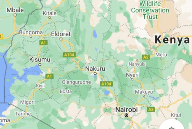 Kenya’s pledge to end gender-based violence must prioritize sex trafficking » Capital News