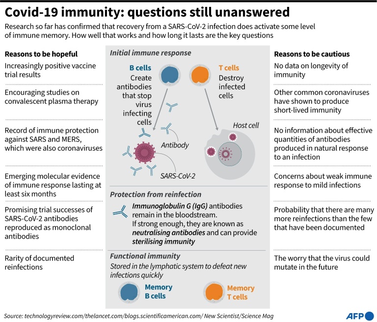 After year-long sprint, Covid-19 vaccines finally at hand » Capital News