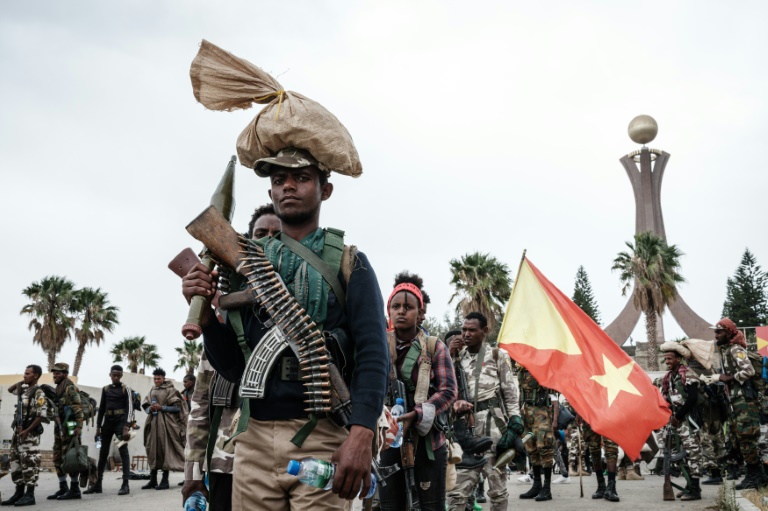 Ethiopia PM vows to repel ‘enemies’ after Tigray rebel assault » Capital News