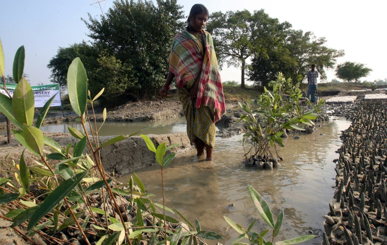 India Women