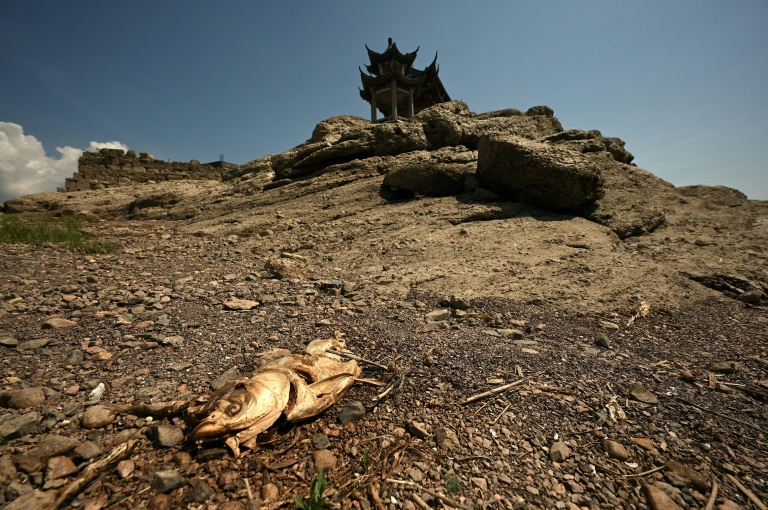China warns of 'severe threat' to harvest from worst heatwave on record » Capital News 1 China warns of 'severe threat' to harvest from worst heatwave on record » Capital News