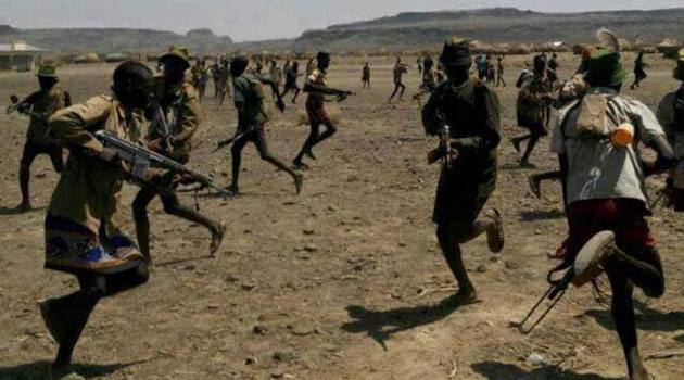 Bandit killed, 33 stolen cattle recovered in Baringo raid