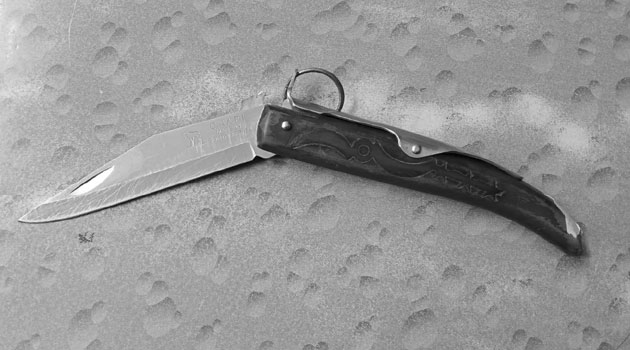 Police officer fatally stabbed during night raid to arrest murder suspect