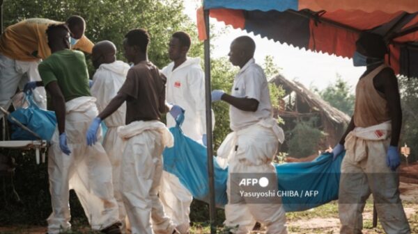 Shakahola cult probe is still ongoing as death toll stands at 242