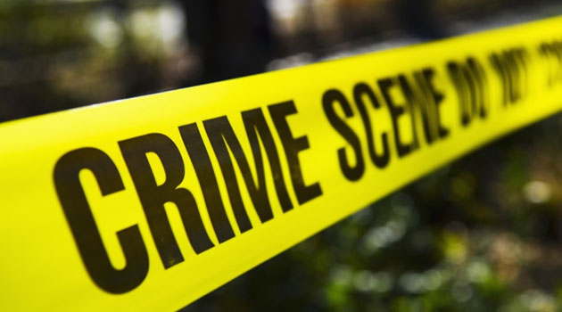 7 suspects including ex-director and COO arrested over INVESCO collapse