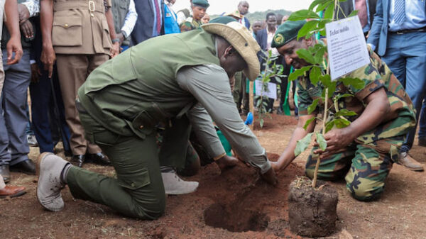 President Ruto and his Cabinet sanctioned the day to be a public holiday to allow Kenyans participate in the tree-planting exercise