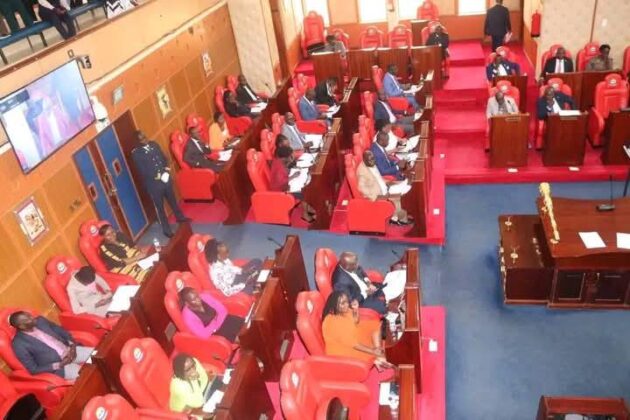 Chaos at Busia County Assembly after two MCAs exchange blows