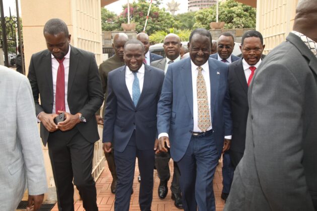 Raila backs Senate push for more legislative authority