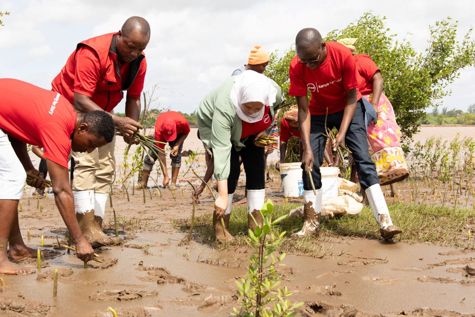 Absa Kenya Foundation Scales Up Mangrove Restoration to 350,000 Trees Across Kenya’s Coastline