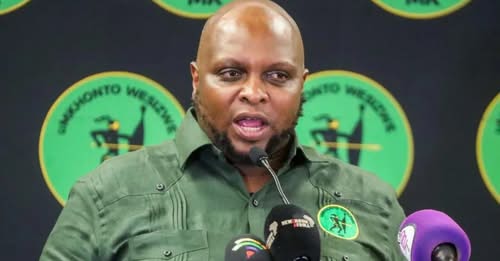 South African politician sacked over visit to fugitive pastor