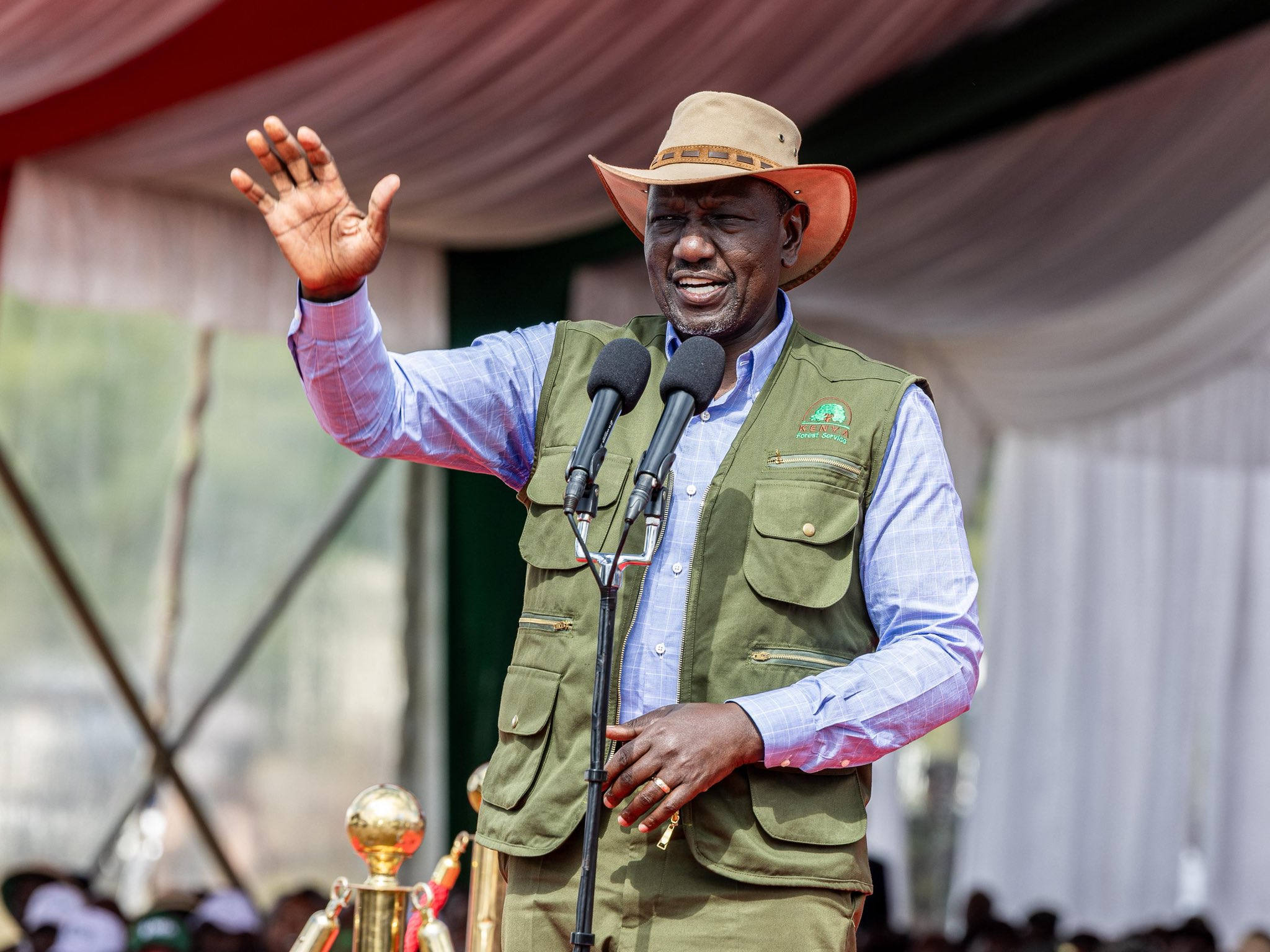Ruto touts &#8216;historic&#8217; strides in education, sector on solid ground