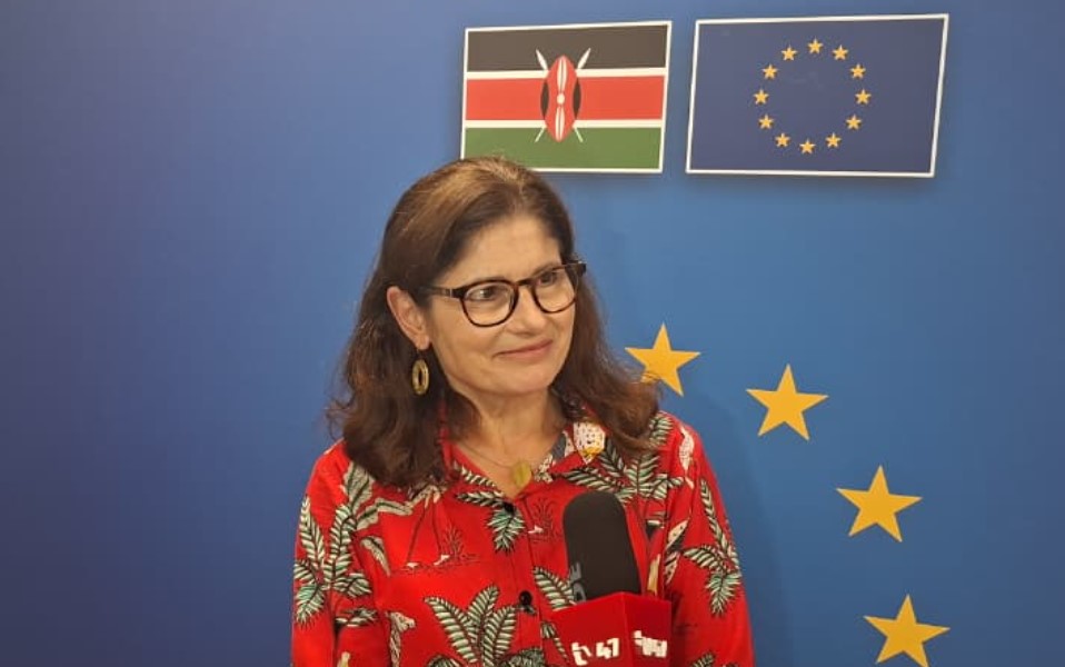 EU ‘understands’ Museveni’s remarks on sea access, urges cooperation