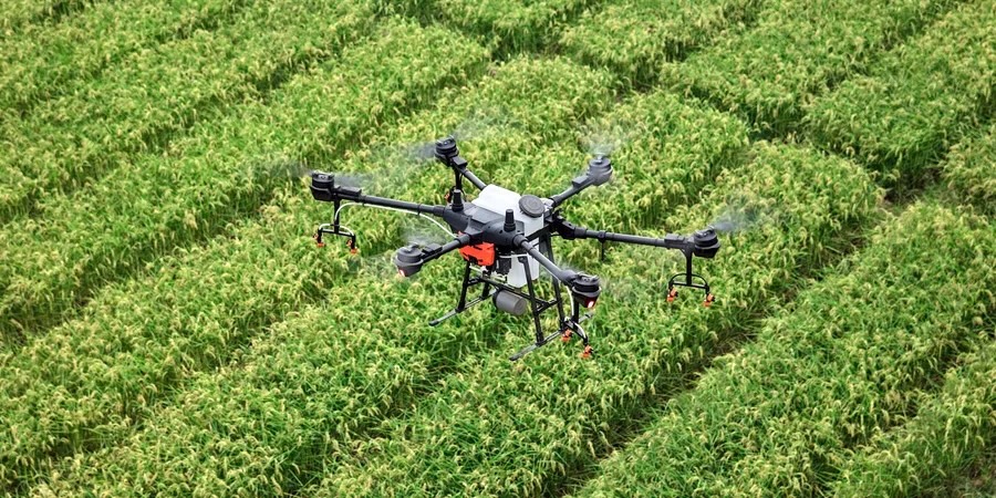 OPINION: How China–Kenya agri-tech is redefining African farming