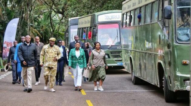 KWS revives bus shuttle services to national parks for holidays, weekends