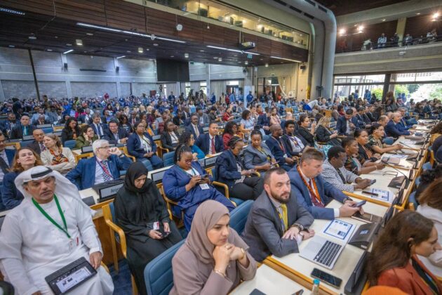 UN to halve 2026 humanitarian funding appeal amid donor cuts &#8211; China Daily