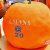 After nearly 20 years, ODM has lost its compass ahead of the 2027 as its survival hangs in the balance barely months after its anchor and former party leader the late Raila Odinga died.
